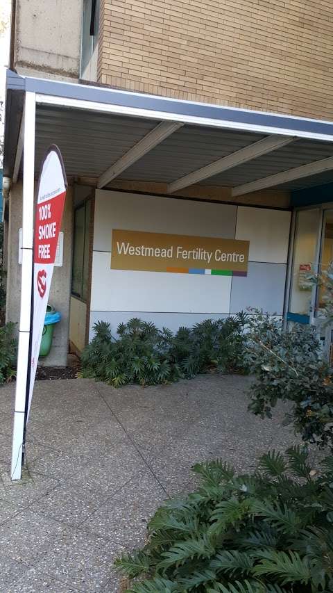 Photo: Westmead Fertility Centre (subsidiary of University of Sydney)